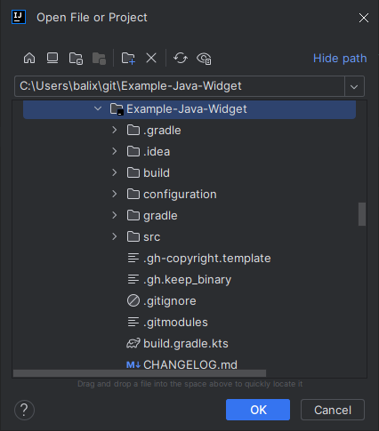Import demo application