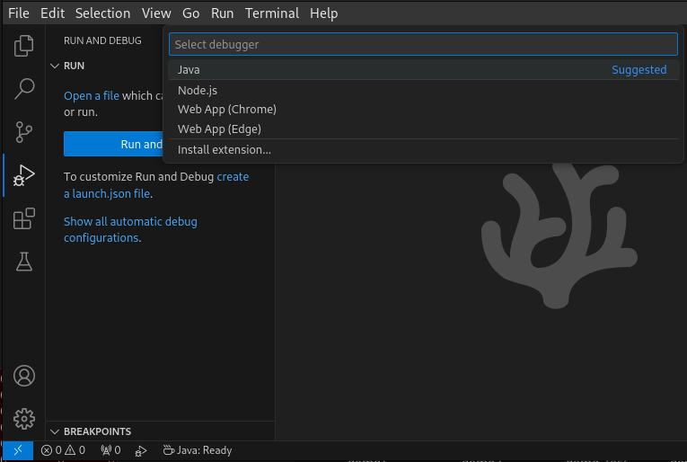 VS Code select Java debug